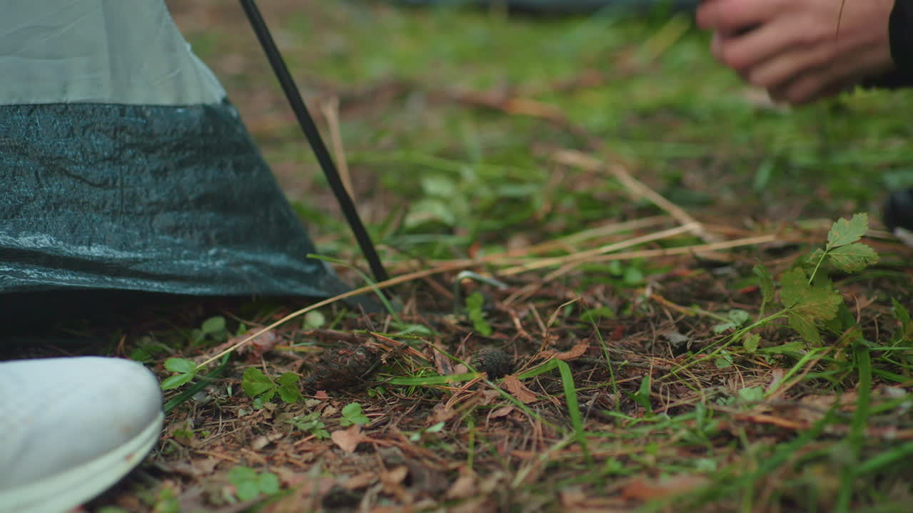 Close up of metal tent peg partially driven into forest ground during camping setup, with person hand and another person canvas shoe visible nearby on pine covered grassy terrain