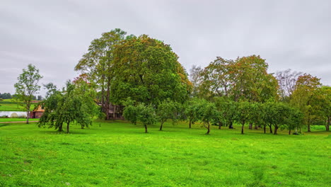 the seasons slowly transform a green landscape into a snow covered one