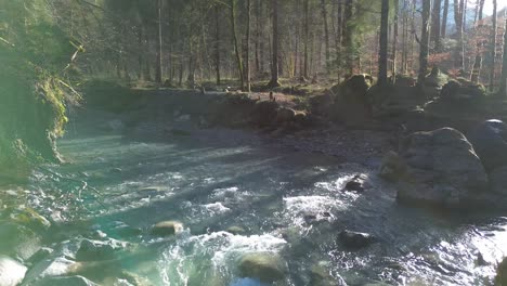 flying along mountain river with sun shining through trees in forest