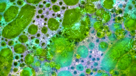 fabulous patterns