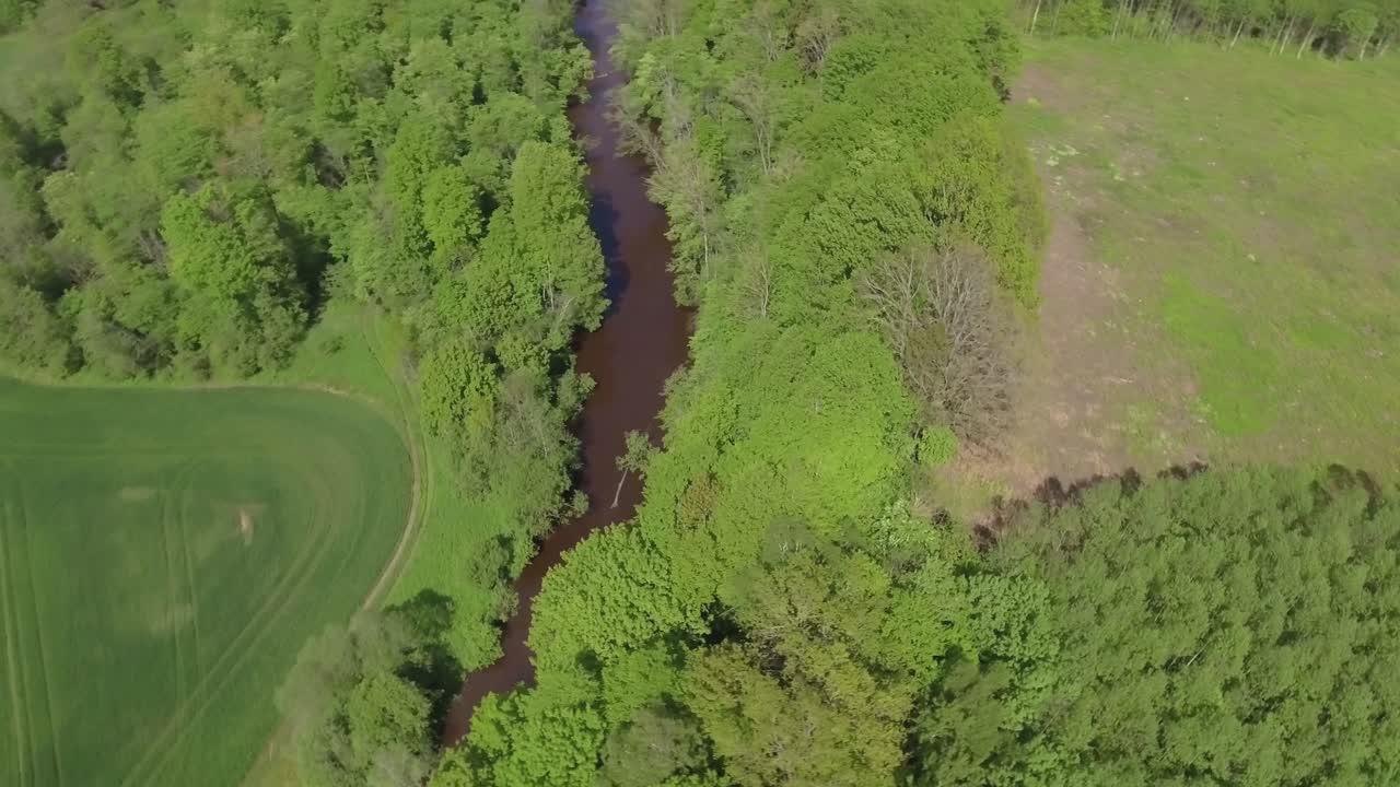 un río sinuoso fluye entre árboles y arbustos verdes en un día soleado de verano