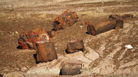 Versteinerte-Baumstämme,-Die-Im-Nationalpark-In-Arizona-Auf-Dem-Boden-Liegen