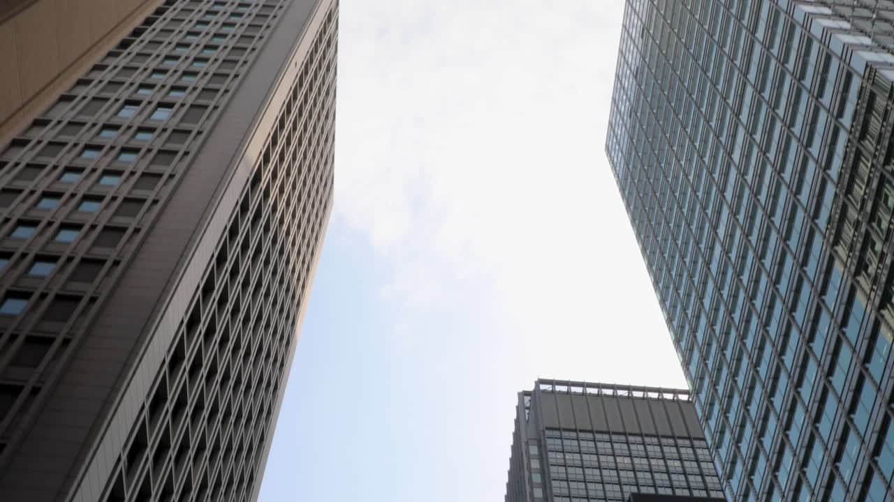 la mejor flor de cerezo en tokio