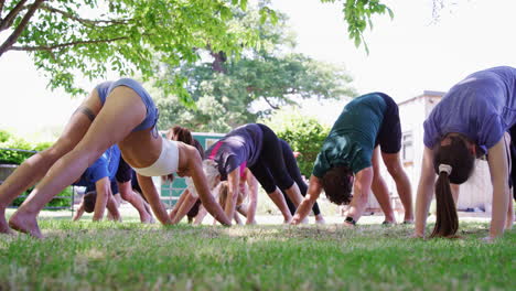 female instructor leading outdoor yoga class