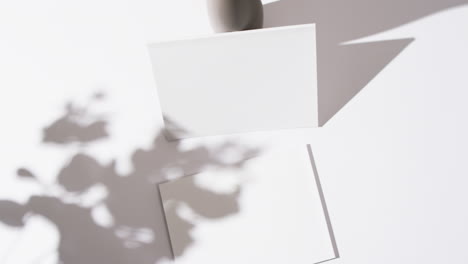 video of shadow of plant over books with blank white pages and copy space on white background