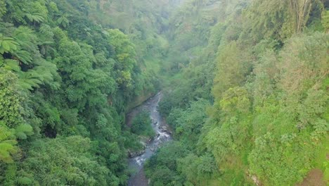 Río-Rodeado-De-árboles-Y-Hierba-Por-La-Mañana