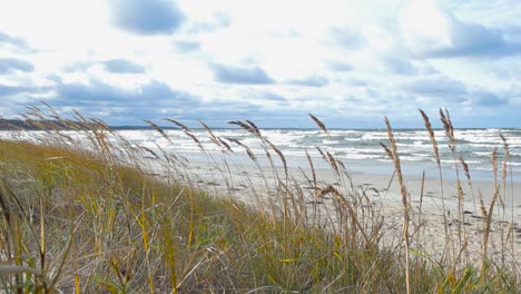 serene beach landscape with waves and grass