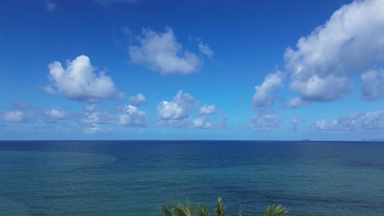 Aerial drone rising above lush palm trees on Koh Lanta, Thailand, revealing a hidden tropical beach and wide open turquoise ocean in the background with pristine coastal scenery