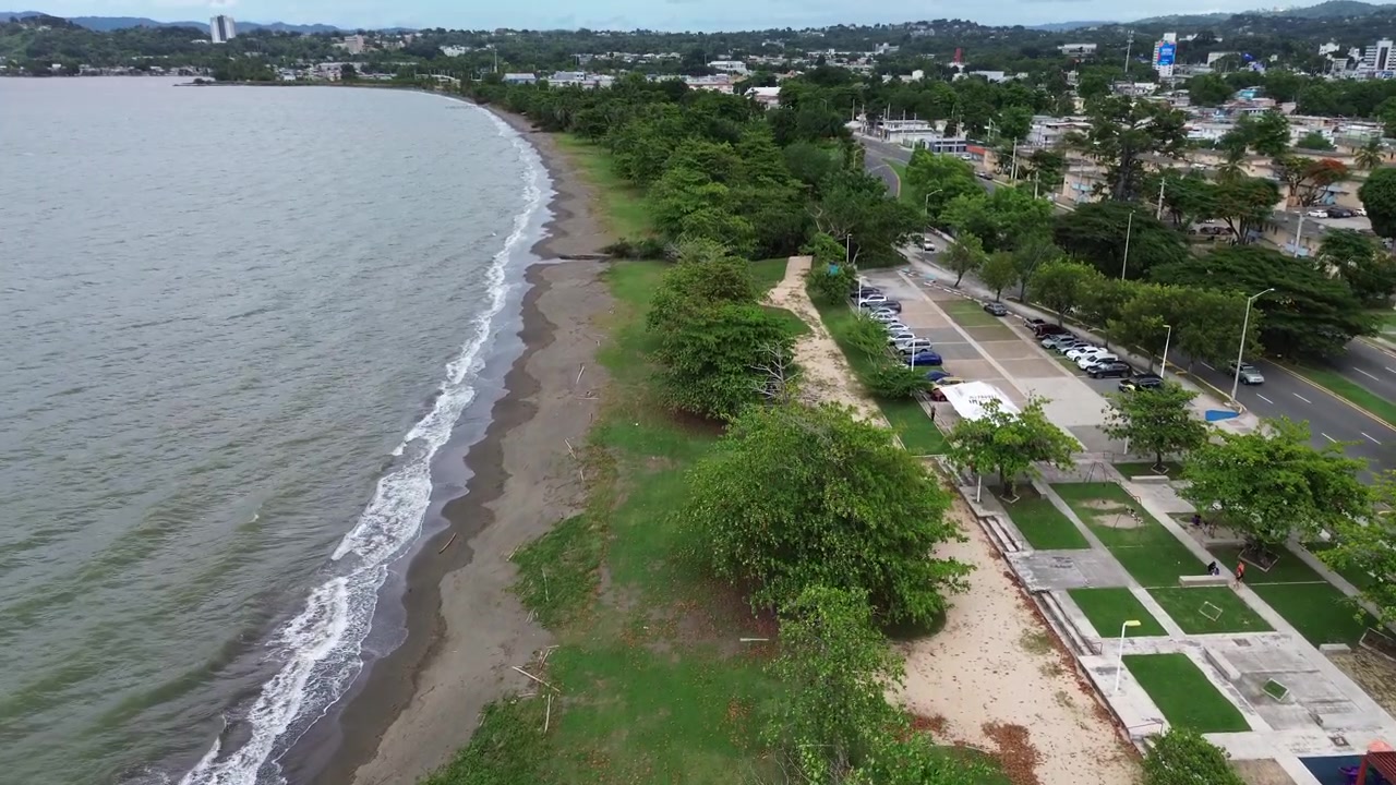 Movimento fluido in avanti di un drone lungo un lussureggiante parco costiero tropicale con onde oceaniche e sfondo cittadino.