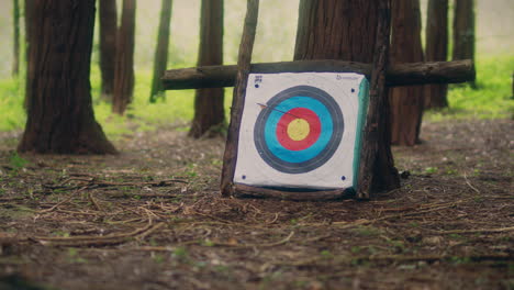 archery arrow hits target slow motion low medium shot