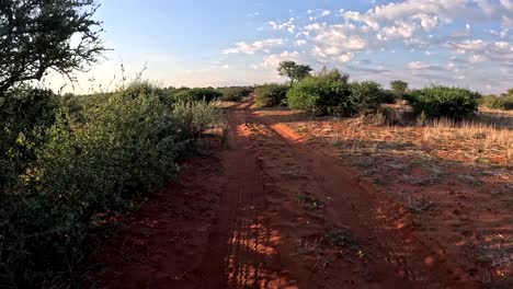 A-time-warp-of-a-safari-vehicle-driving-through-the-beautiful-bushveld-of-the-Southern-Kalahari,-a-lush-savannah-landscape-with-wilderness-passing-by-swiftly