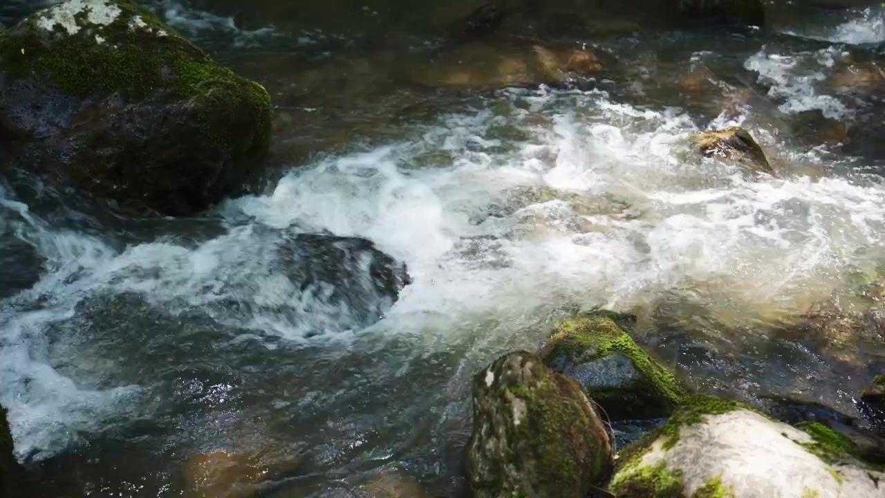 Acqua limpida scorre impetuosa su rocce muschiose in un ruscello nel bosco. Correnti turbolente creano schiuma bianca attorno alle pietre. L'energia pura della natura scorre attraverso un terreno accidentato. Ideale per temi ecologici o contenuti di avventura