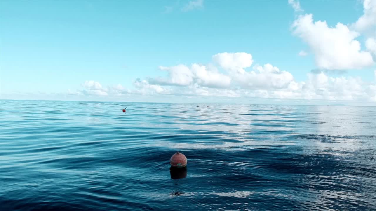 평온 한 물결 으로 바다 에서 떠다니는 오렌지색 시 보이