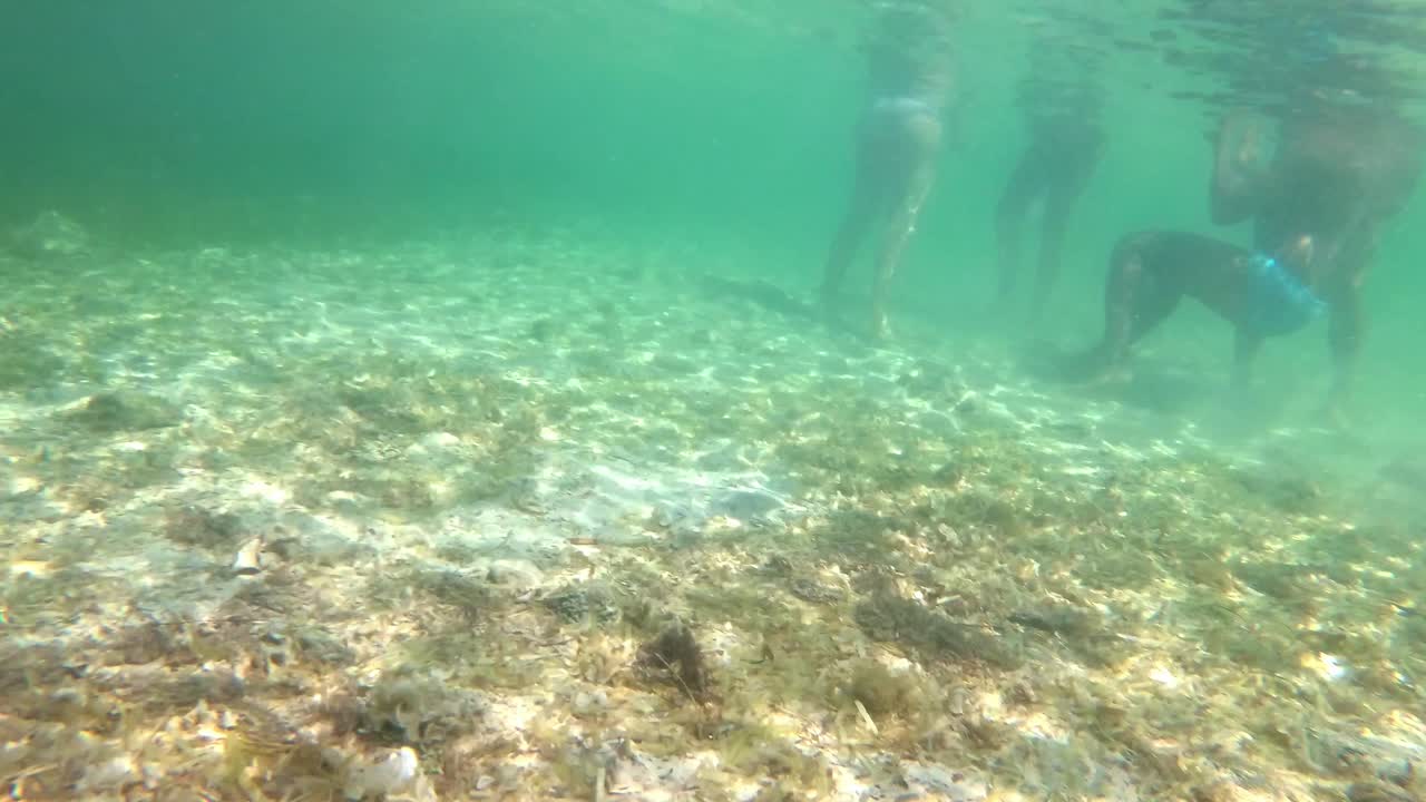 스페인, 마요르카, 칼라 산트 조르디, 이슬라 카브레라