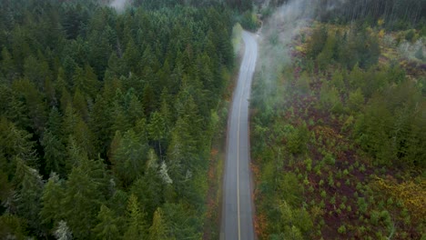 Mountain-Forest-Road-on-Vancouver-Island,-British-Columbia---Aerial