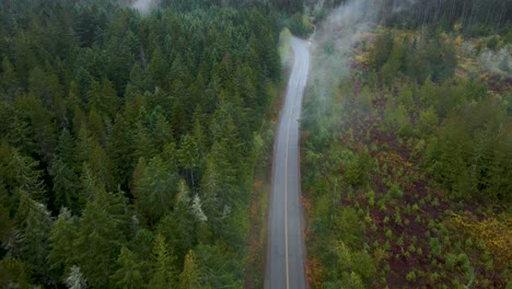 mountain forest road on vancouver island, british columbia - aerial