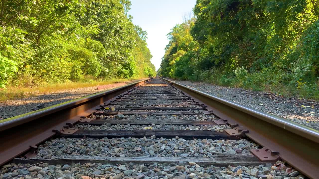 Railroad tracks to nowhere among the trees.