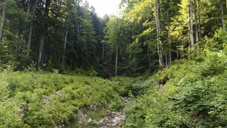 a dry stone river bed of a mountain stream