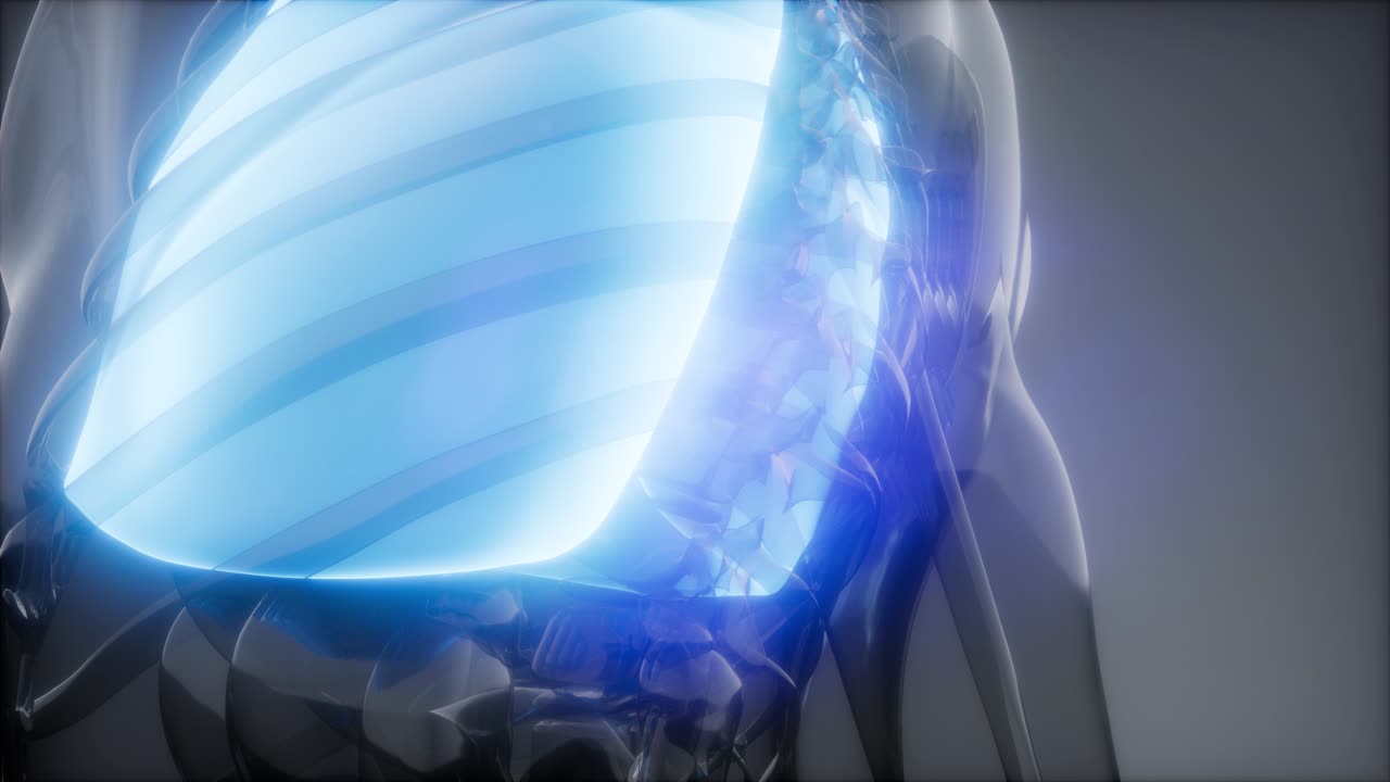 인간의 폐 방사선 검사