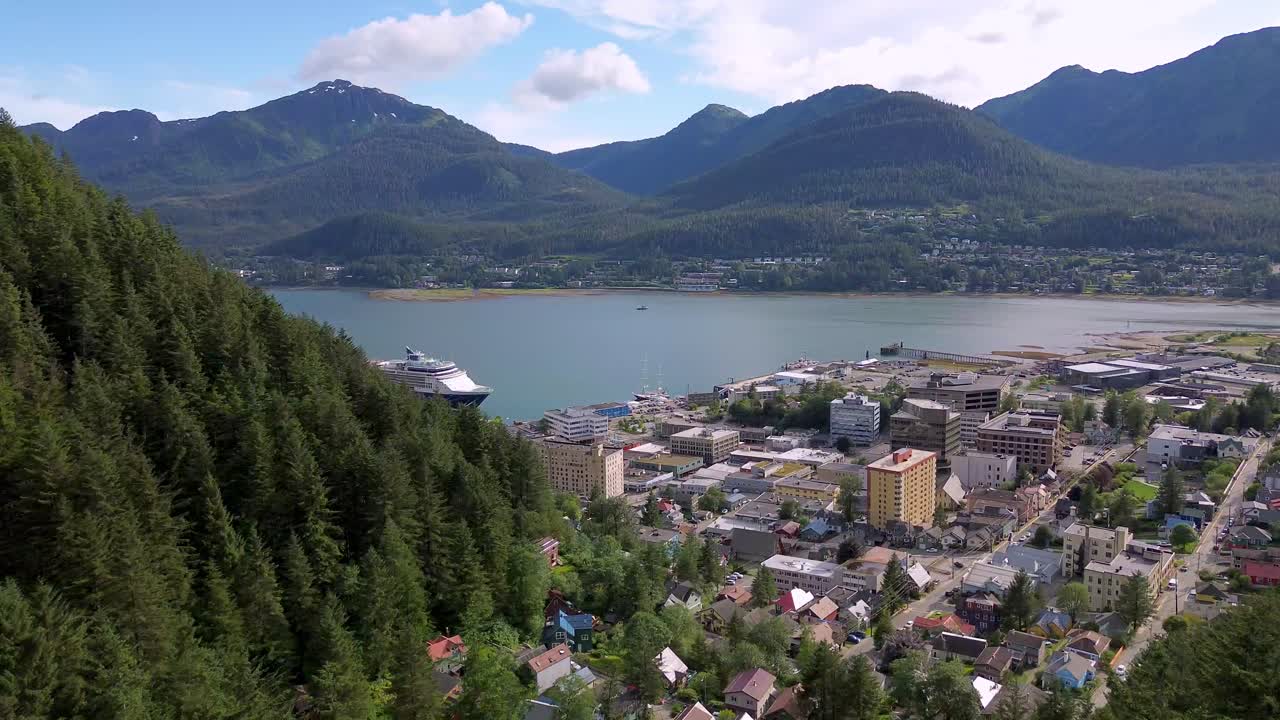 Juneau Alaska luftfoto afsløring af trætoppe.