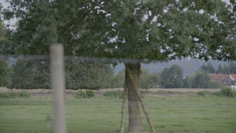 Ein-Mit-Einer-Handkamera-Aufgenommener-Roter-Zug-Mit-Mehreren-Waggons-Fährt-Auf-Einer-Kurvigen-Strecke-Durch-Eine-Grüne-Landschaft-Mit-Bäumen,-Feldern-Und-Hügeln-Unter-Einem-Klaren-Blauen-Himmel