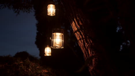 slow dolly shot showing three lanterns hanging from a tree branch