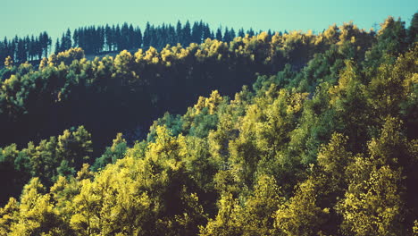 Tal-Mit-Herbstbäumen-Zwischen-Den-Bergen,-Die-Bei-Sonnenuntergang-Von-Der-Sonne-Beleuchtet-Werden