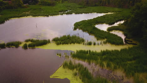 aerial flyover of a swampy wetland marsh on a cloudy summer day