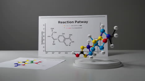molecular model and reaction pathway diagram