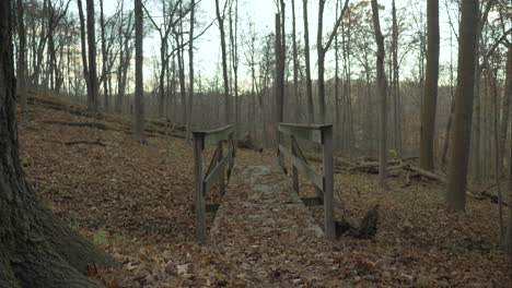 leaves cover a walking trail bridge in the woods