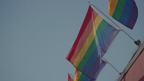 rainbow pride flags flying high
