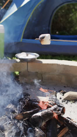 vertical video of marshmallow toasting over campfire with tent in background, slow motion