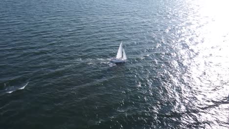 sailboat sailing in seawater by coastline in massachusetts