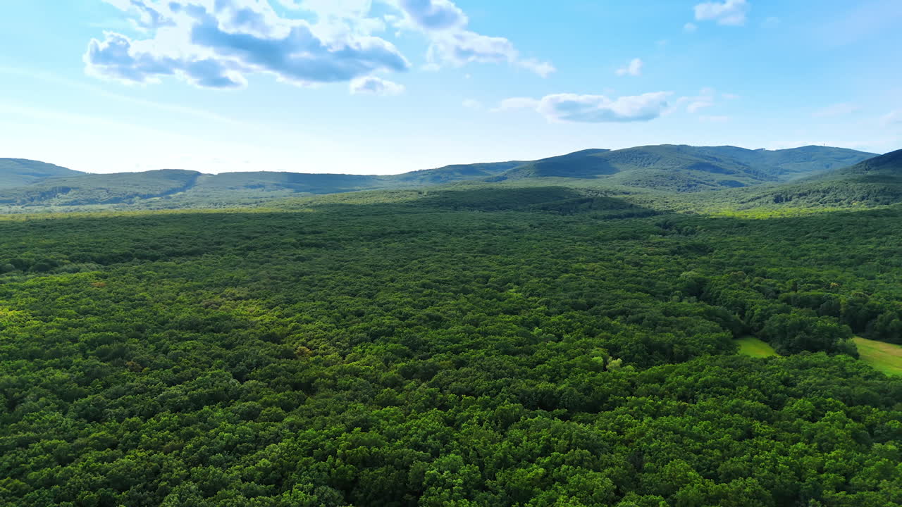 Vast green landscape under a clear sky. Lush green forest stretches across rolling hills on a sunny day with a few clouds in the blue sky