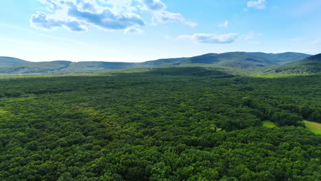 vast green landscape under a clear sky. lush green forest stretches across rolling hills on a sunny day with a few clouds in the blue sky