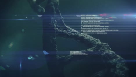 데이터 처리 및 빛 반점 위의 dna  ⁇ 의 애니메이션