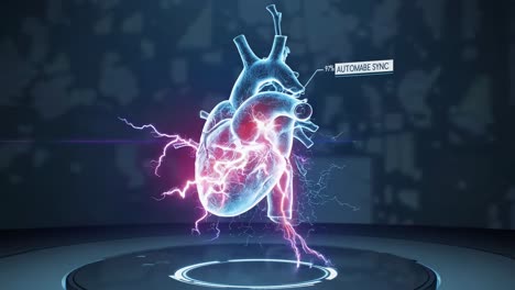 3d model of a human heart with electrical activity