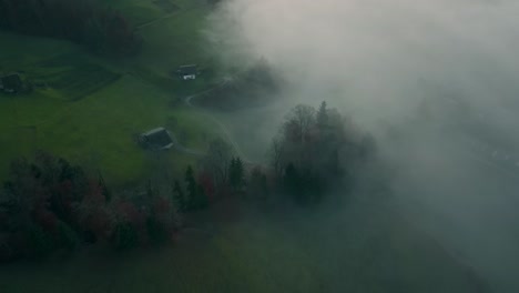 fog in a green valley at sunset