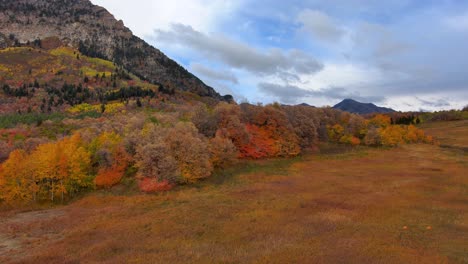 Panoramic-aerial-view-of-a-mountain-meadow-in-autumn-with-all-the-colors-of-fall