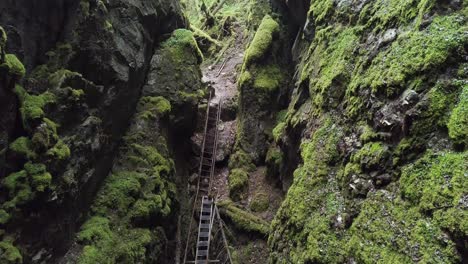 rocky gorge with mossy walls and ladder