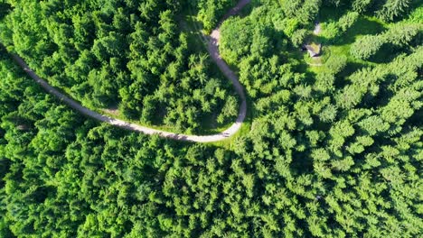 Drone-view-as-it-flies-over-the-trees-with-camera-recording-what-is-happening-directly-below-the-drone-on-mountains