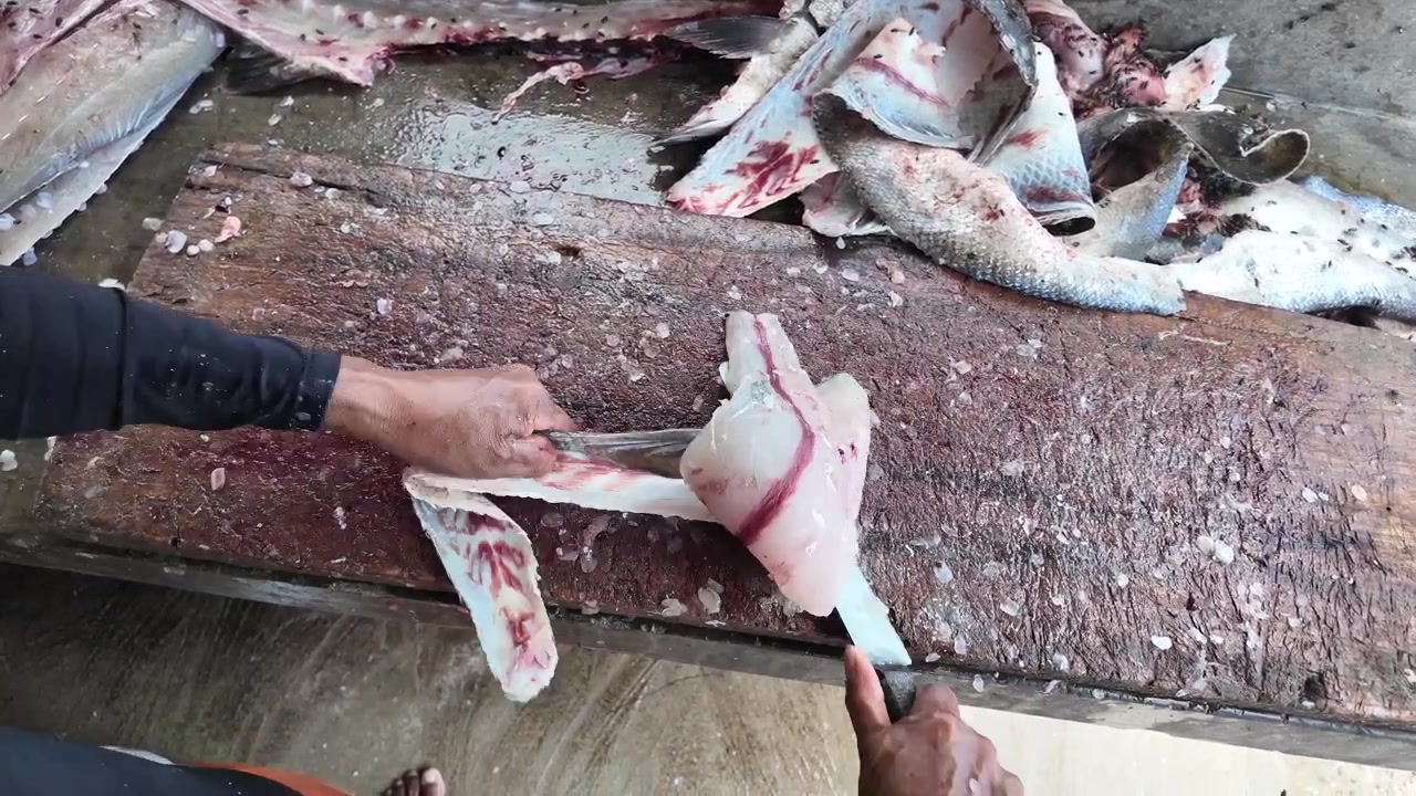 Detailaufnahme von Händen, die gekonnt Haut und Gräten von einem sauberen weißen Barracuda-Filet auf einem traditionellen Fischmarkt entfernen.