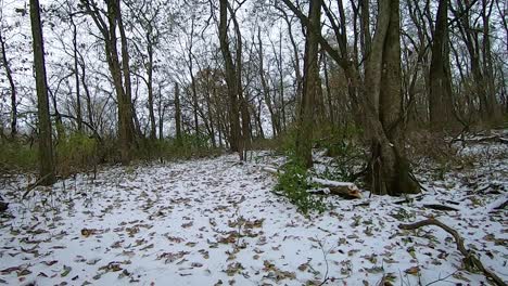 pov from the front of an all terrain vehicle or atv while driving through snowy woods on a cloudy afternoon in early winter; point of view