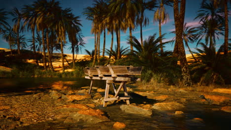 an old wooden dredge in desert oasis