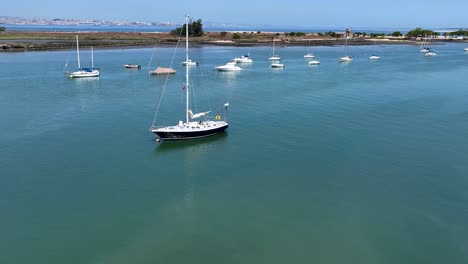 drone shot of som anchored sailboats