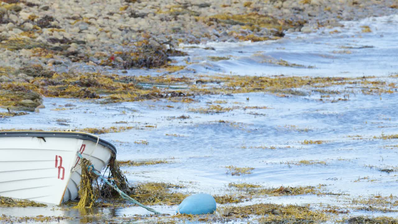 A white rowboat rests on a rocky shoreline at low tide, surrounded by kelp and a blue buoy. Natural daylight, static wide shot