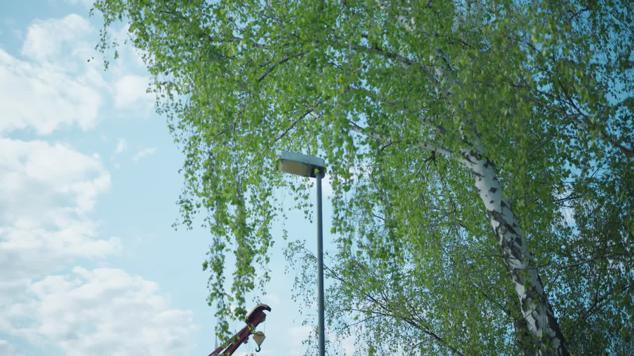 Static upward shot of a streetlight next to a birch tree with green leaves, filmed in Stockholm under a partly cloudy sky