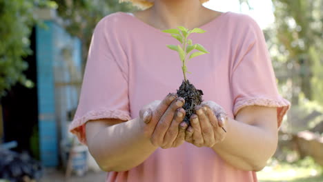 senior biracial woman holding dirt with plant in hands in sunny garden at home, slow motion