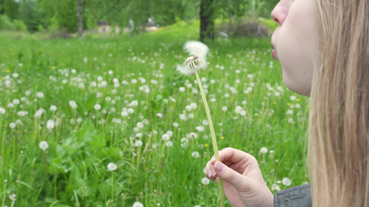 chica caucásica de pelo largo está soplando semillas de diente de león en la naturaleza
