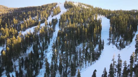 imágenes de drones sobre la estación de esquí del bosque alpino nevado en lake tahoe, ee. uu., que muestran a los esquiadores bajando una pendiente y remontes